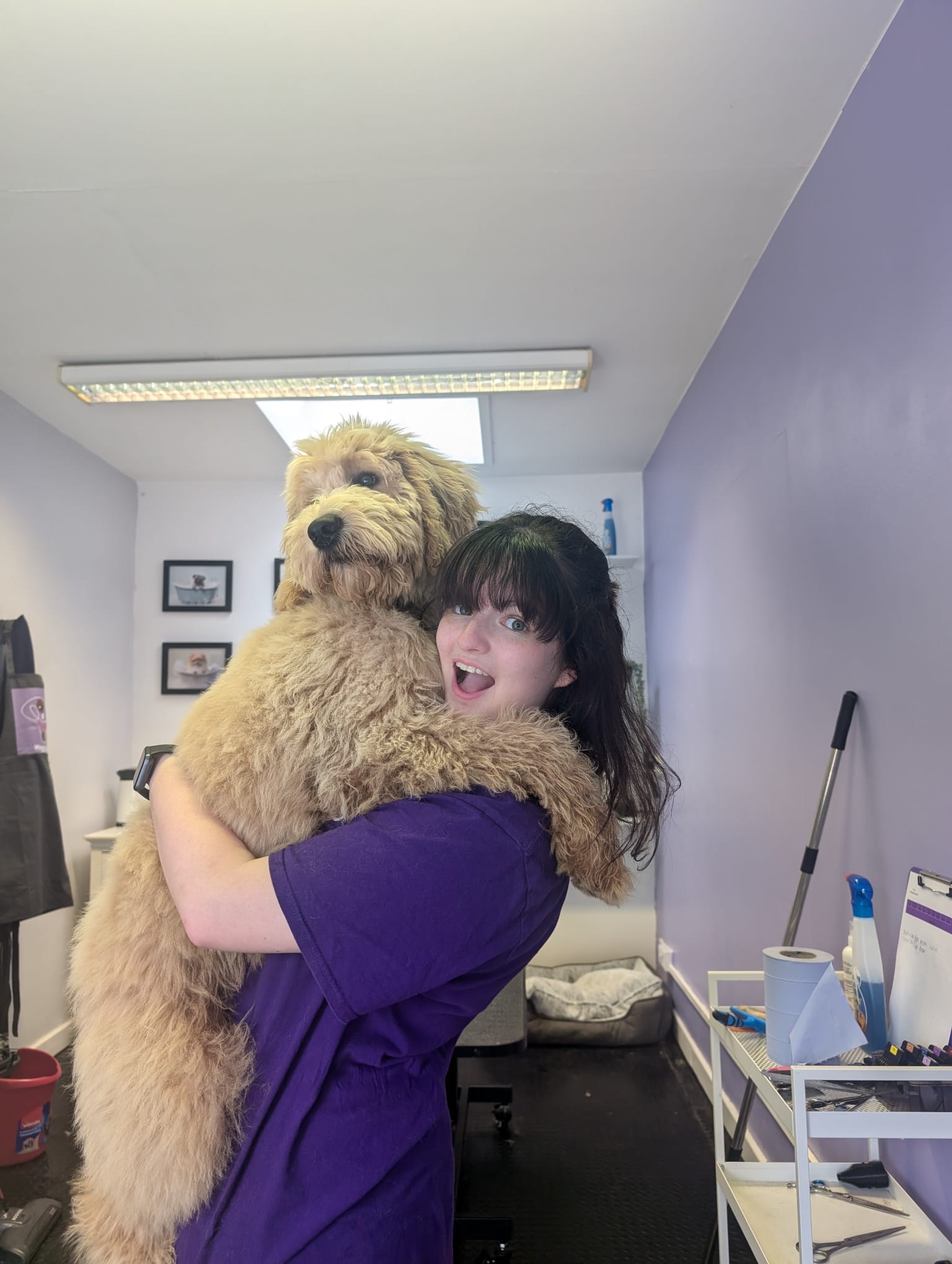 Ali at Waggy Bums Dog Groomers